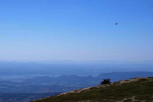 DSC_1147-800.jpg